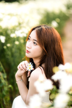 桃花视频在线观看电视剧大全播放