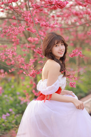 菠萝菠萝蜜最新