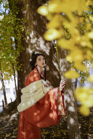 宠妾绫儿1v1全文