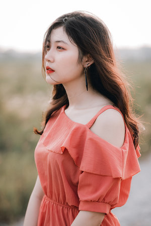 新妹魔王的契约者有多少集