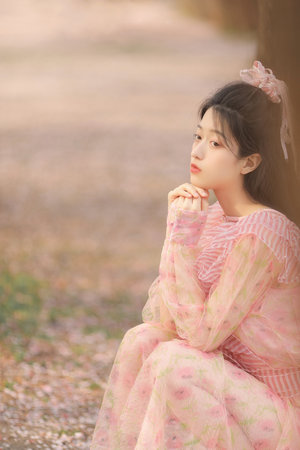 熊出没之重返侏罗纪