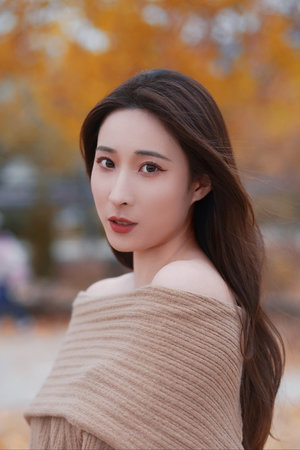 乱世佳人 电视剧