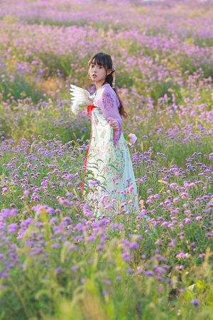 chinese白袜篮球体育生