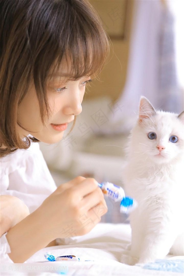 6姊妹电视剧免费看