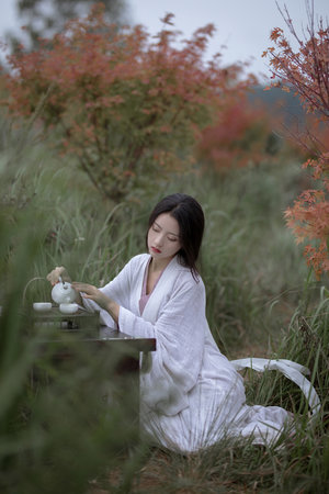 丰满少妇被粗大猛烈进