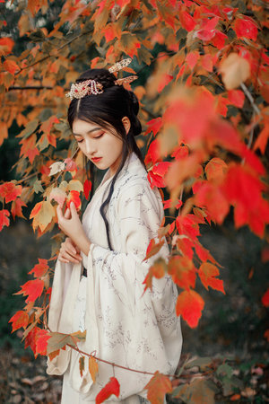 泡沫之夏电视剧全集