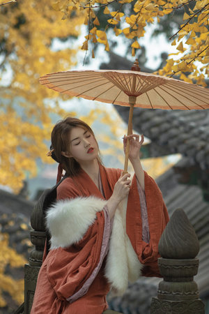 1000部毛片A片免费观看