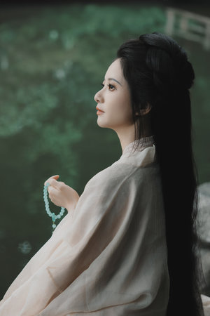 女神的上门豪婿