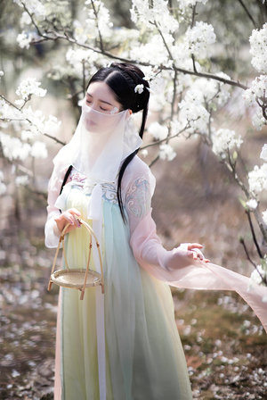 中文字幕久久精品无码综合网