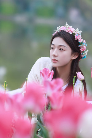 日韩精品特黄毛片免费看