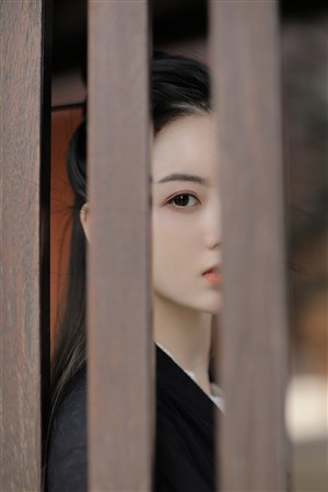 叶罗丽精灵梦第九季