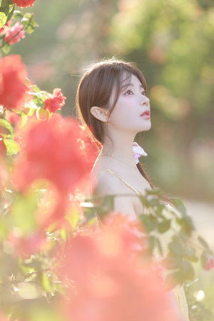 战国红颜之芈月传奇电视剧