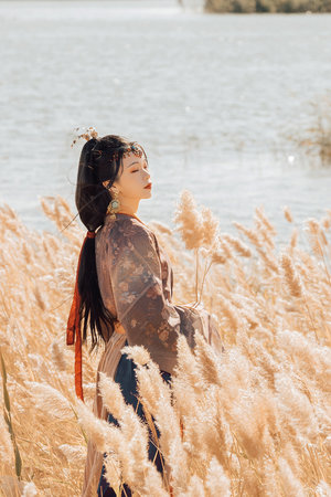 甜蜜惩罚动漫第一季完整版在线观看全