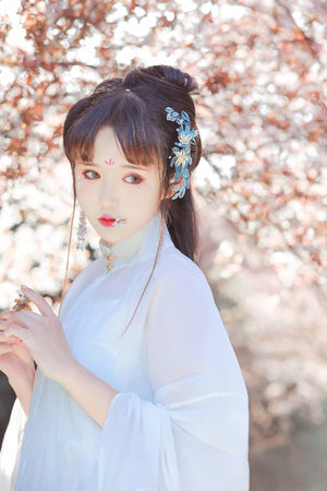 新精武门武魂免费观看