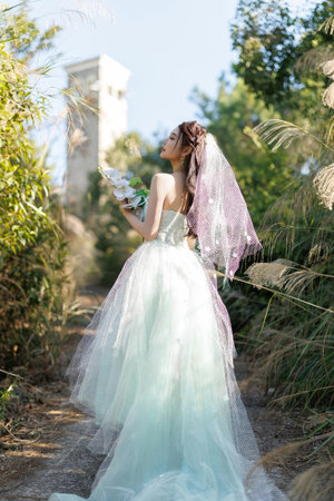 文枫佳柔系列全文阅读