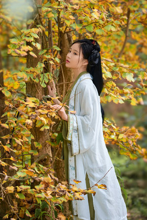 夜来香电影在线看