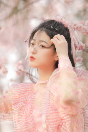 张国立主演的电视剧全部