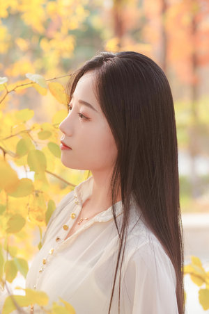 乡村大凶器小说