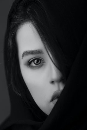 漂亮书生电视剧免费观看全集