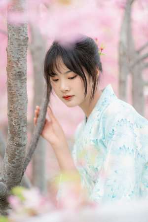 美梦成真电视剧下载