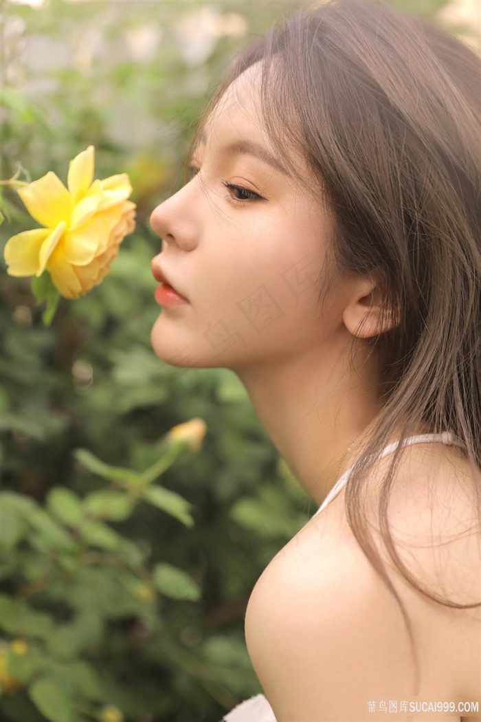 女主播的故事国语