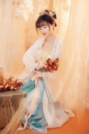 杨门女将电视剧