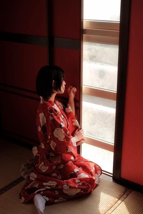 免费追剧在线全免费