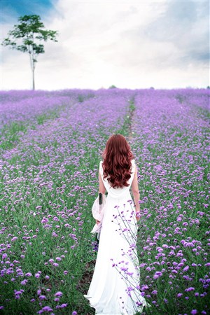 远方的山楂树电视剧免费观看