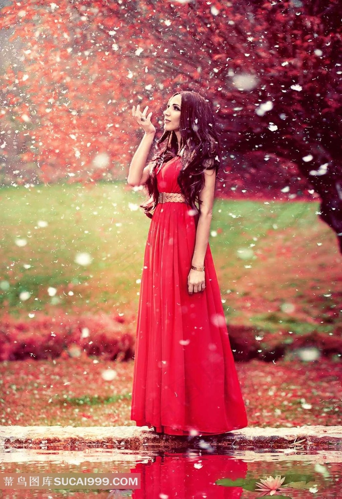 噼里啪啦免费观看视频高清