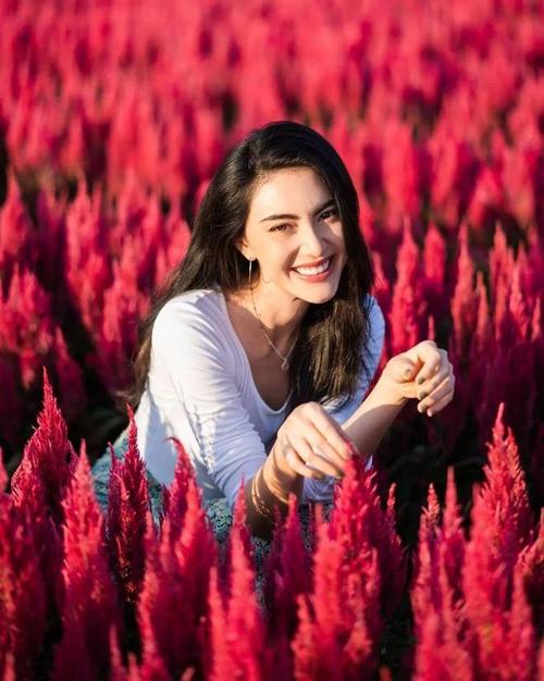 我愿意做您脚下的一条狗