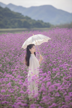 古董局中局之掠宝清单