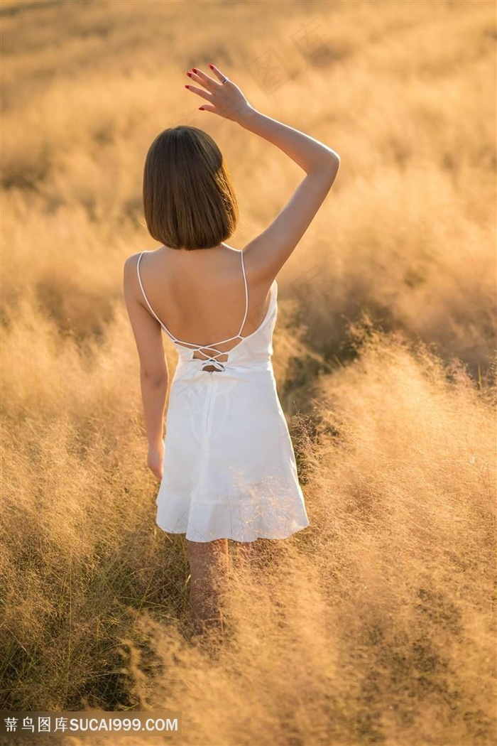 男团共享物笔趣阁