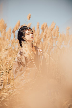 一级AAAAAAA片在线观看