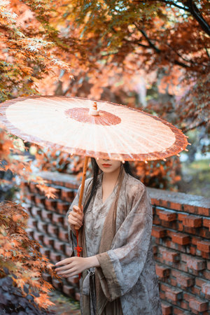 中文字幕乱老妇女