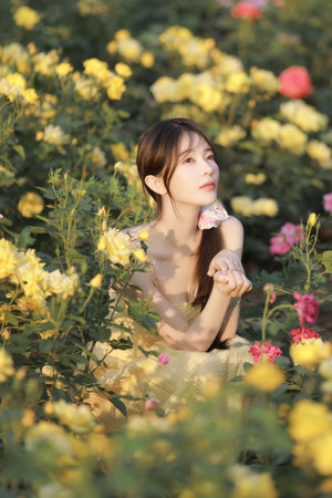 acg海贼王娜美罗宾啪啪漫画