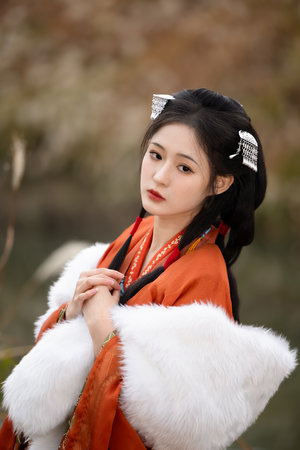 少林寺之大漠英豪