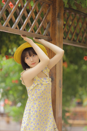 中国骑兵电视剧