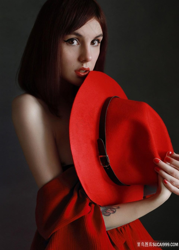 疯狂动物城免费观看