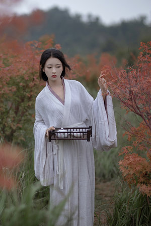 北条麻妃在线播放