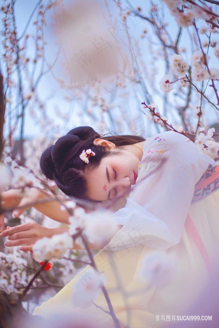 天龙八部(胡军版)