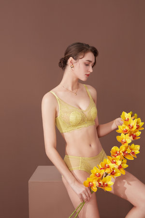 黄色软件免费下