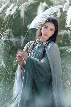 小黄鸡聊天网页版