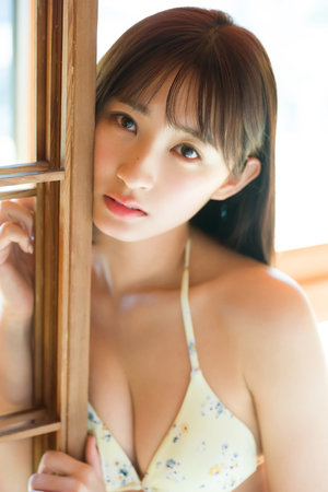 春光灿烂海棠红在线观看免费完整版