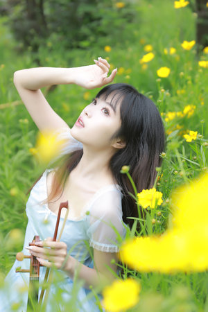 暴劫柔情在线观看