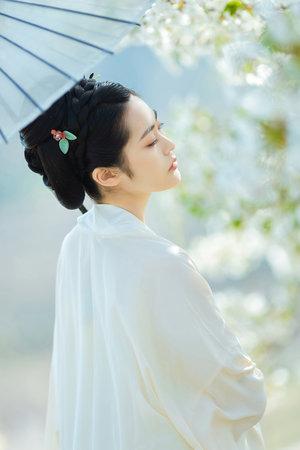 麻花影视免费观看电视剧铁血保镖