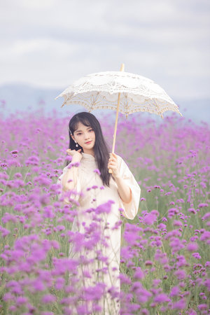 日韩在线播放视频