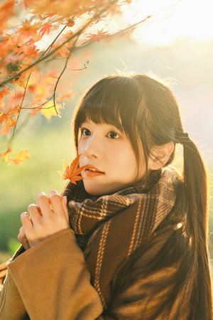 高压监狱法国满天星