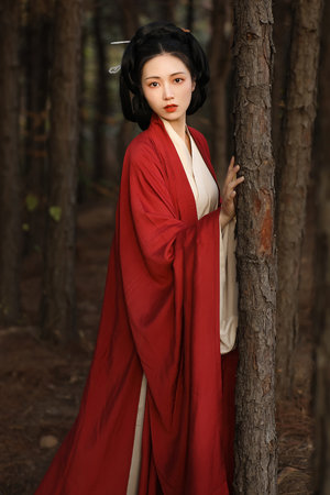 穿越王妃不好惹短剧免费观看