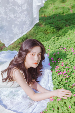 电视剧扫毒风暴免费观看全集