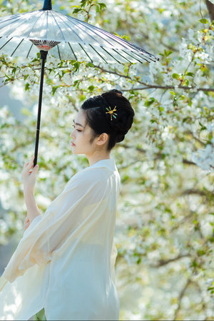 开元视频观看免费高清